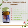  Viên uống hỗ trợ tim mạch Coenzyme Q10 90mg Orihiro Nhật Bản 90 Viên 