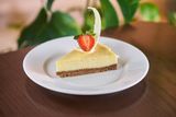  Chesse Cake 
