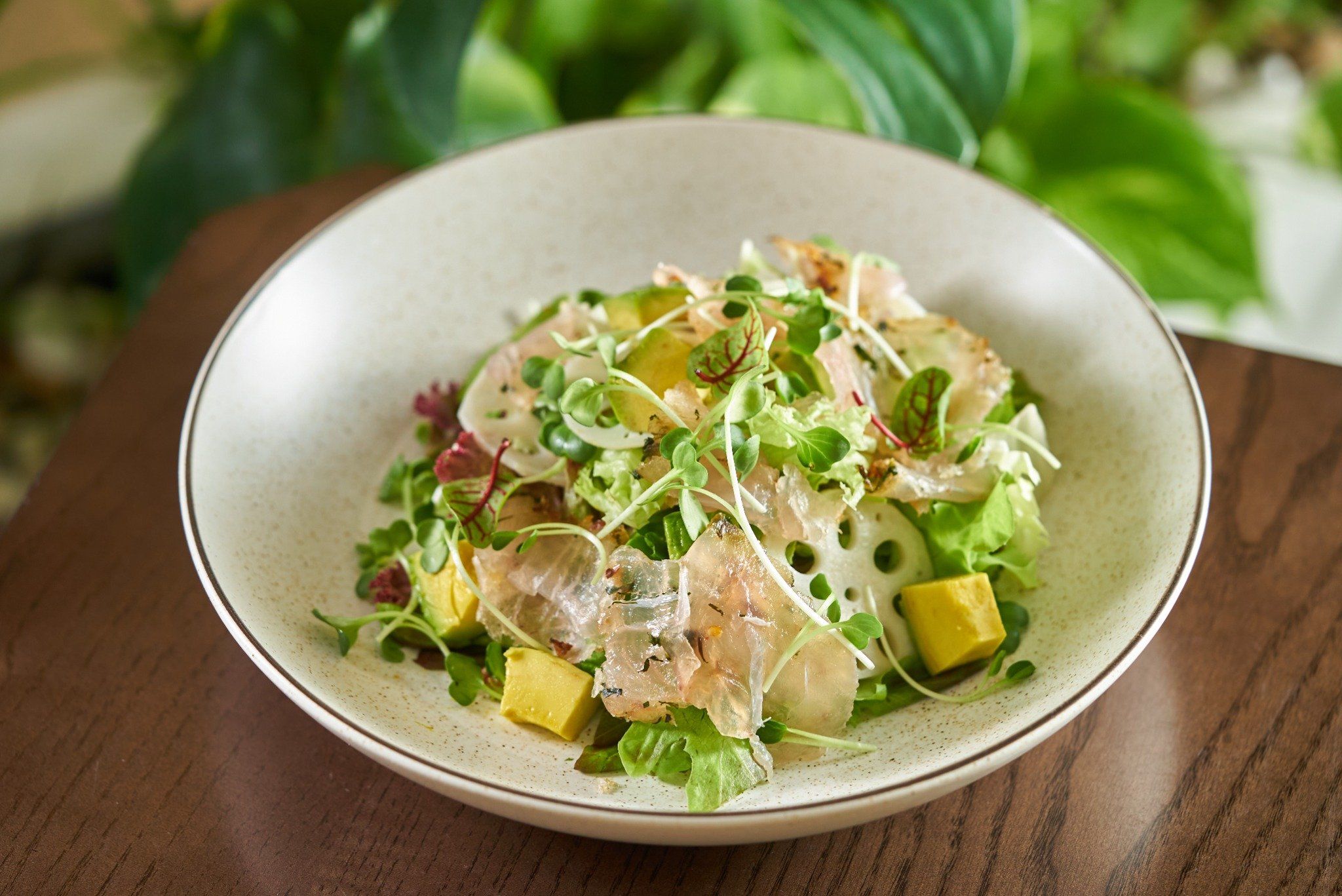  Gỏi Cá Mó Biển Xông khói Vị Chẩm Chéo, Bơ Đắk Lắk, Củ Sen Ngâm Chua 