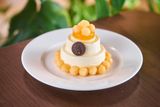  Melon Mousse 