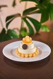  Melon Mousse 