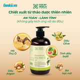  Dầu Gội Thảo Dược Hà Thủ Ô 2IN1 Cỏ Cây Hoa Lá 450G cải thiện tóc gãy rụng 