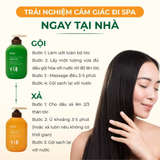  Combo Chăm Sóc Tóc Bết Dầu Gel Gội Gừng Sả Cỏ Cây Hoa Lá 