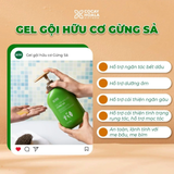  Combo Chăm Sóc Tóc Bết Dầu Gel Gội Gừng Sả Cỏ Cây Hoa Lá 