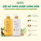  Combo Dầu Gội Xả Thảo Dược Gừng Dừa Cỏ Cây Hoa Lá 650G Sạch Gàu Ngứa 
