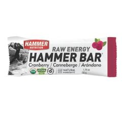 Thanh Năng Lượng Hammer Bar 50g