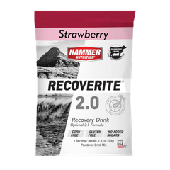 Sữa phục hồi cơ bắp Hammer Nutrition Recoverite - Giảm đau nhức sau khi tập luyện, xây cơ hiệu quả