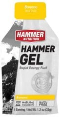 Gel năng lượng chạy bộ Hammer Nutrition - Bổ sung năng lượng bền bỉ khi vận động thể thao
