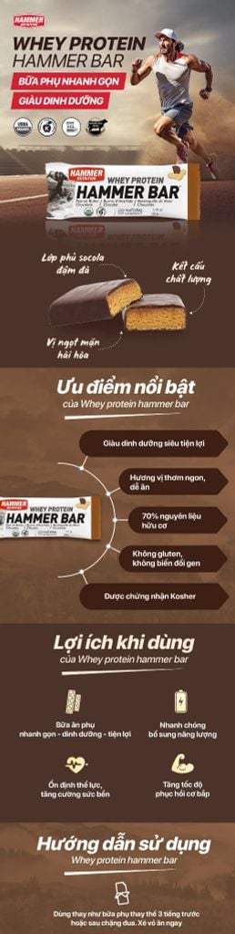 Whey Protein Hammer Bar 40g