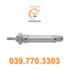 Xy lanh tiêu chuẩn CRDSNU-16-25-P-A