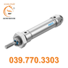 Xy lanh tiêu chuẩn CRDSNU-16-25-P-A