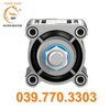 Xy lanh tiêu chuẩn DSBC-63-100-PPVA-N3