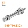 Xy lanh tiêu chuẩn DSNU-12-15-P-A
