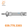 Xy lanh tiêu chuẩn DSNU-12-15-P-A