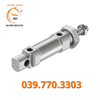 Xy lanh tiêu chuẩn DSNU-25-10-P-A