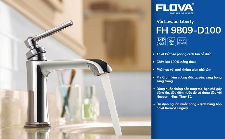 Vòi Lavabo gắn chậu FH 9809-D100