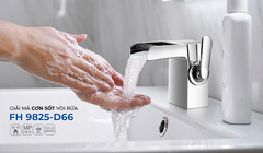 Vòi Lavabo gắn chậu FH 9825-D66