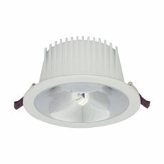 ĐÈN LED DOWNLIGHT CHIẾU SÂU 30W (BFA0301)
