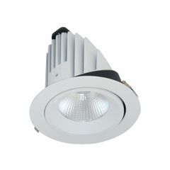 ĐÈN LED DOWNLIGHT CHIẾU SÂU 40W (BIB0401)