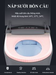 Bồn cầu thông minh bán tự động RG-AW8001