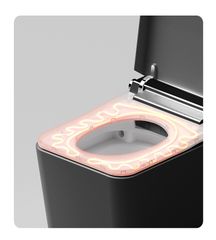 Bồn cầu thông minh tự động Rangos RG-AF8003PB