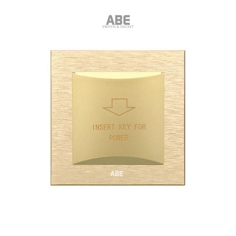 Công tắc thẻ từ 40A Titanium S