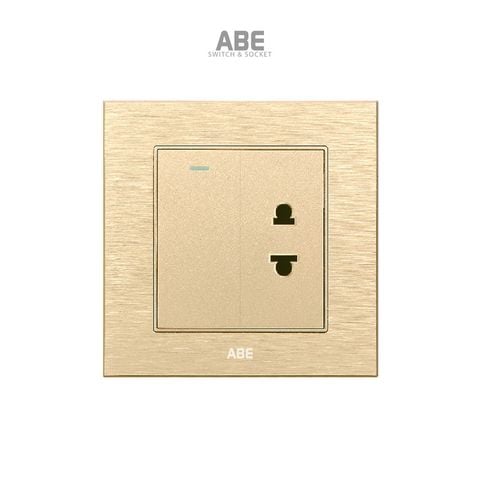 Công tắc đơn kèm Ổ cắm đơn Titanium S