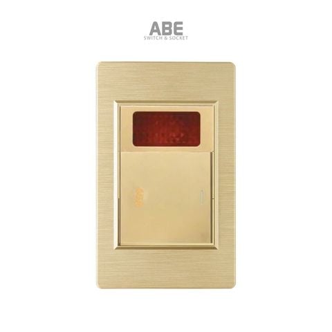 Công tắc 45A kèm Đèn báo PCX