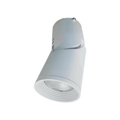 Đèn Led Gắn Nổi Chiếu Điểm Trang Trí 10W (DIB0105)