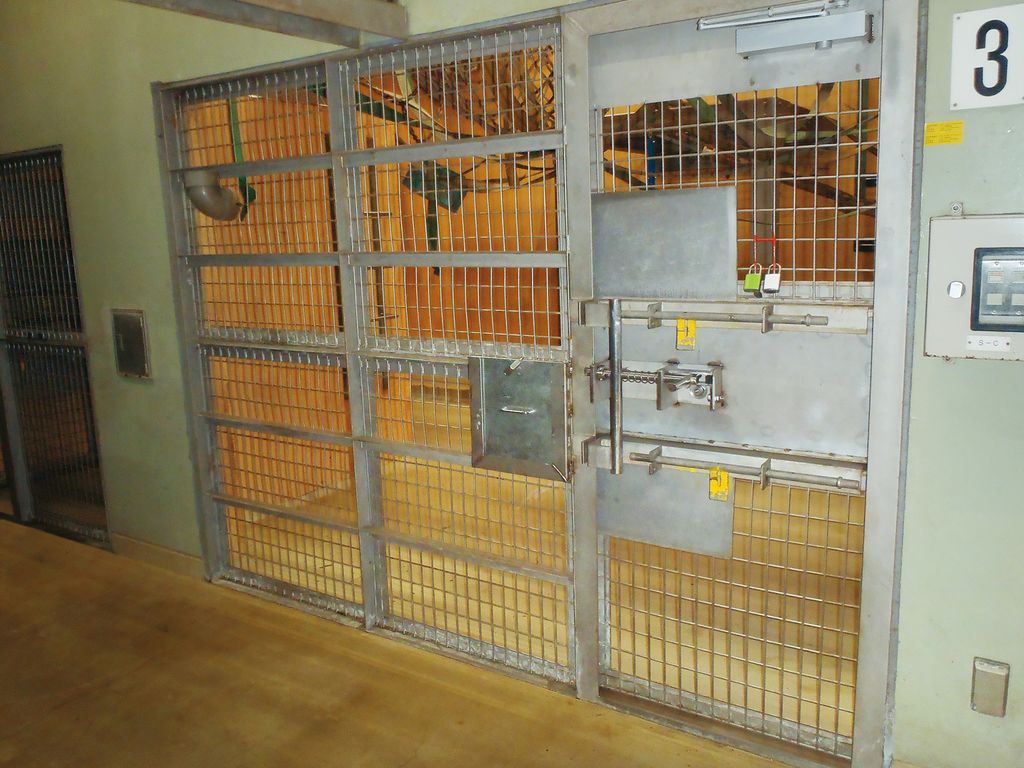 Cổng đặc biệt Kongo