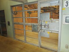 Cổng đặc biệt Kongo