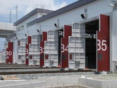 Cửa đôi đặc biệt Kongo