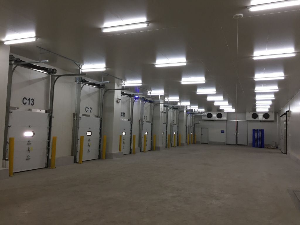 Cửa trượt trần Kongo