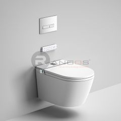 Bồn cầu thông minh tự động RG-AFW8004