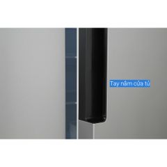 Tủ lạnh LG Inverter 519 lít GR-B256JDS