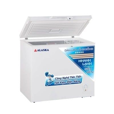 Tủ đông Alaska BD-400C 400L 1 ngăn đông dàn đồng