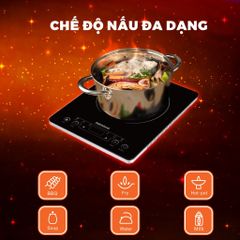 Bếp từ đơn Nanoco Model NICS647 (cảm ứng, công suất 2000W, dòng mỏng)