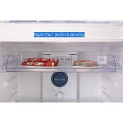 Tủ lạnh Samsung Inverter 360 lít RT35K50822C/SV [MIỄN PHÍ GIAO HÀNG - LẮP ĐẶT]