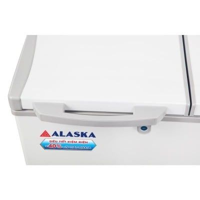 Tủ đông Alaska BD-400C 400L 1 ngăn đông dàn đồng