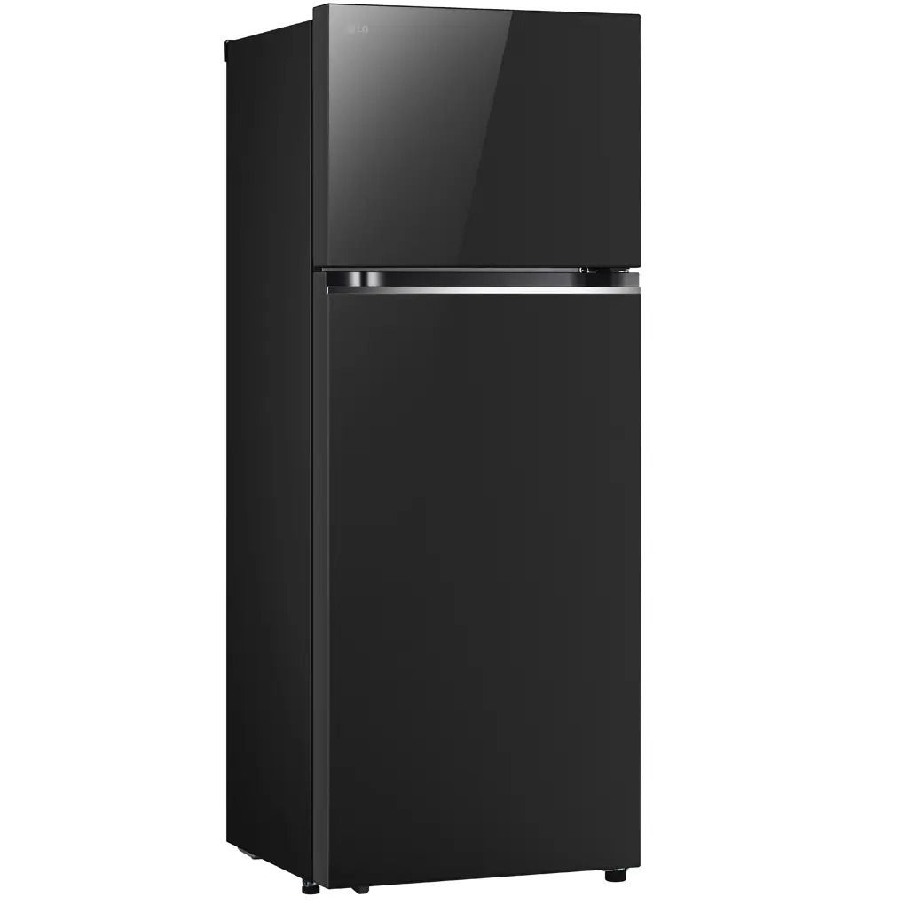 Tủ lạnh LG Inverter 461 lít LTB46BLG