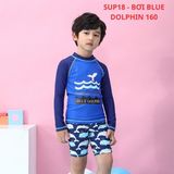  T24 - Bơi tay dài BLUE DOLPHIN xanh dương 