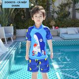  Bơi rời cá mập xanh 