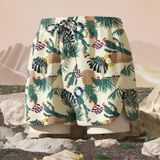  Swimbros B3 - Quần bơi nam 2 lớp chất liệu thoáng mát 