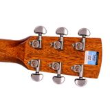  Đàn Guitar Acoustic Saga SF850 