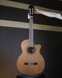  Đàn Guitar Classic Ba Đờn C300-J 