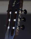  Đàn Guitar Classic Ba Đờn C450-J 