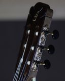  Đàn Guitar Classic Ba Đờn C600-J 