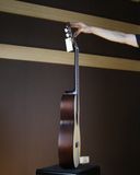  Đàn Guitar Classic Ba Đờn DAM100 