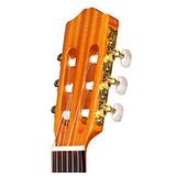  Đàn Guitar Classic Cordoba C1 Full Size 