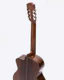  Đàn Guitar Classic Ba Đờn C550D Gỗ Điệp 